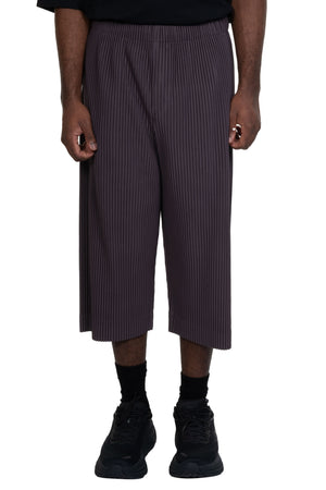 Pleats Bottoms 1 Cropped Trousers Slate Violet