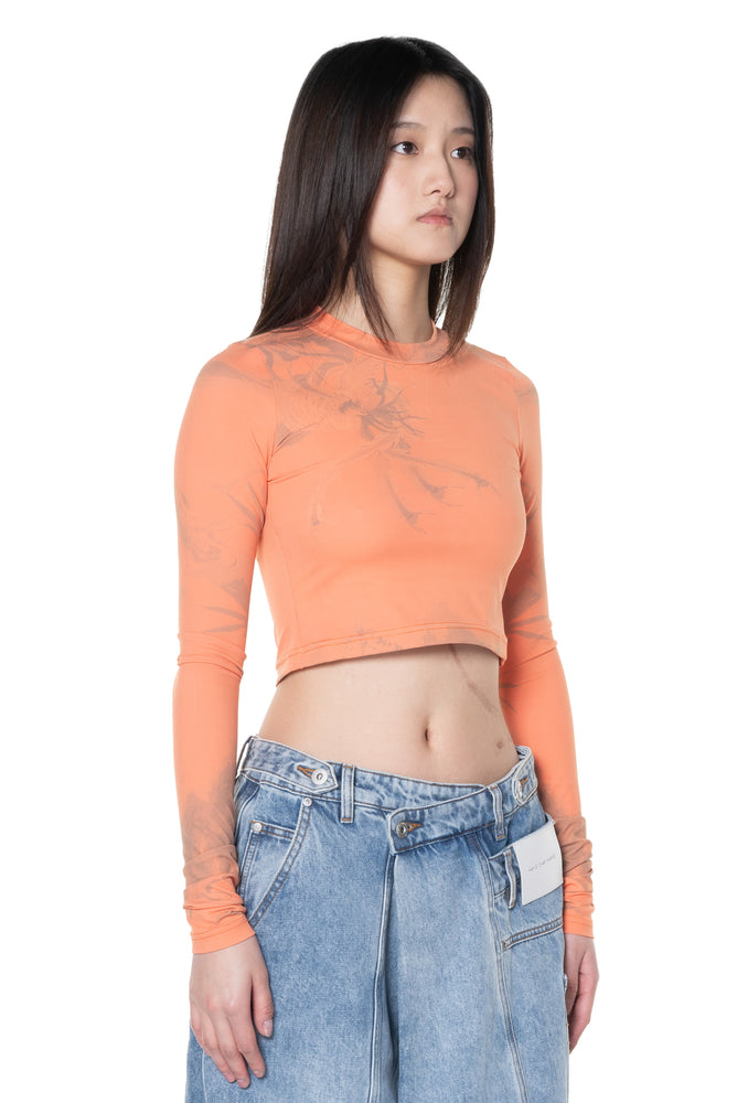 Printed Phoenix Cropped Round Neck Top