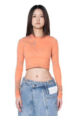 Printed Phoenix Cropped Round Neck Top